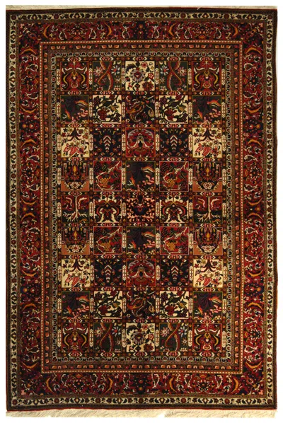 Safavieh Bakhtiari Handmade Rug In Brown