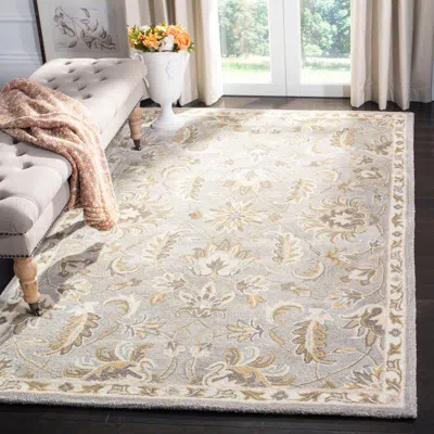 Safavieh Bella Hand Made Area Rug, Grey / Multi Traditional Style Non-shedding