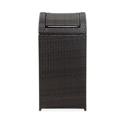 Safavieh Bishop Outdoor Wicker Trash Bin In Brown