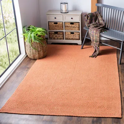 Safavieh Braided Hand Made Area Rug, Multi Solid / Tonal Style Non-shedding