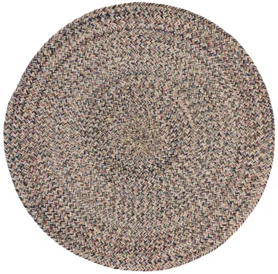 Safavieh Braided Handwoven Rug In Brown