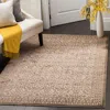 Safavieh Brilliance Machine Made Area Rug, Cream / Bronze Traditional Style Easy Care In Neutral