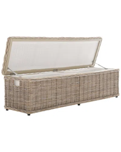 Safavieh Caius Trunk In Gray