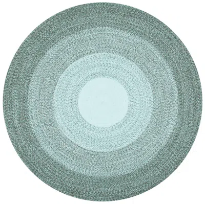 Safavieh Cape Cod Collection Handwoven Rug In Blue