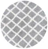 Safavieh Dallas Shag Rug