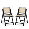 Safavieh Desiree Cane Folding Dining Chairs, Set Of 2, Black/natural In Black