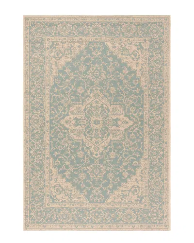 Safavieh Dnu  Beach House Indoor/outdoor Rug In Aqua