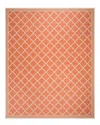 Safavieh Dnu  Beach House Indoor/outdoor Rug In Rust
