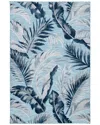 Safavieh Dnu  Cabana Indoor/outdoor Rug In Blue