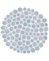 Safavieh Dnu  Cape Cod Area Rug In Blue