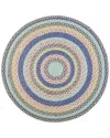 Safavieh Dnu  Cape Cod Jute Area Rug In Blue