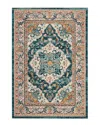 Safavieh Phoenix 100 Power Loomed Rug