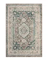Safavieh Dnu  Phoenix 100 Rug