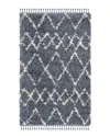 Safavieh Pro Lux Shag Rug