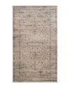 Safavieh Dnu  Vintage Rug