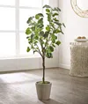 Safavieh Faux 37 Inch Potted Polyscias Fruticosa Tree