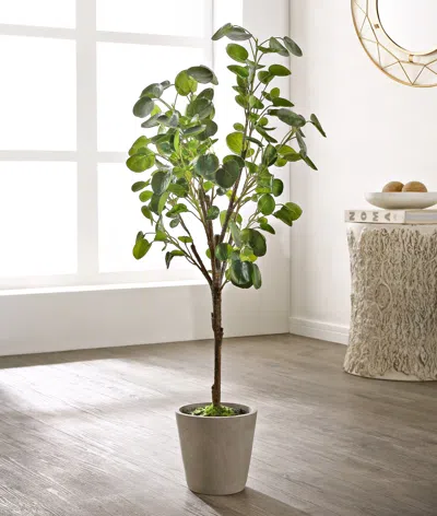 Safavieh Faux 37 Inch Potted Polyscias Fruticosa Tree In Gray
