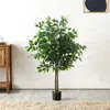Safavieh Faux 55 Inch Potted Bush Ficus Tree