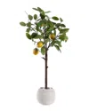 Safavieh Faux Lemon Potted Tree In White