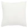 Safavieh Florini Pillow