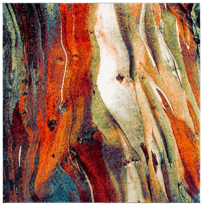 Safavieh Glacier Collection Rug In Orange