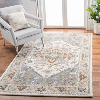 Safavieh Heritage Collection Hg625l In Neutral