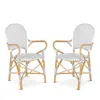 Safavieh Hooper Indoor-outdoor Stacking Arm Chair, Set Of Two In Gray/white/light Brown