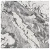 Safavieh Horizon Shag Collection Rug