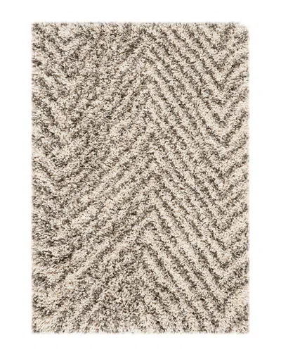 Safavieh Hudson Shag Rug