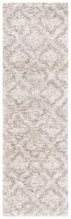Safavieh Hudson Shag Rug