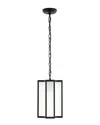 Safavieh Hyla Outdoor Pendant