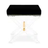 Safavieh Jezbel Acrylic X-bench In Black