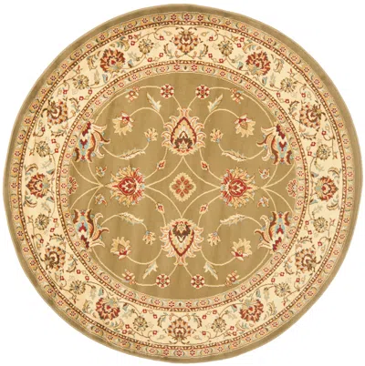 Safavieh Lyndhurst Rug In Orange