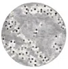 Safavieh Manhattan Handmade Rug