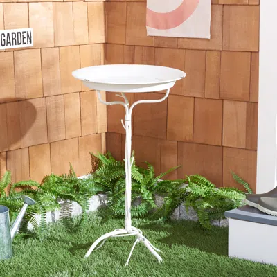 Safavieh Nigel Bird Bath In White