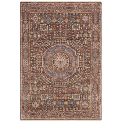 Safavieh Oriental Hand Knotted Wool Oriental Rug In Blue;brown