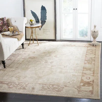 Safavieh Oriental Hand Knotted Wool Oriental Rug In Brown;beige