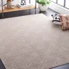 Safavieh Pattern And Solid Machine Made Area Rug, Beige Contemporary Style Easy Care In Gray