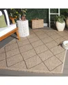 Safavieh Retreat Drizzle Power-loomed Indoor/outdoor Rug In Brown