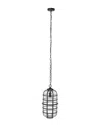 Safavieh Rigel Outdoor Pendant