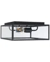 Safavieh Rinnah 12in Outdoor Flush Mount In Black