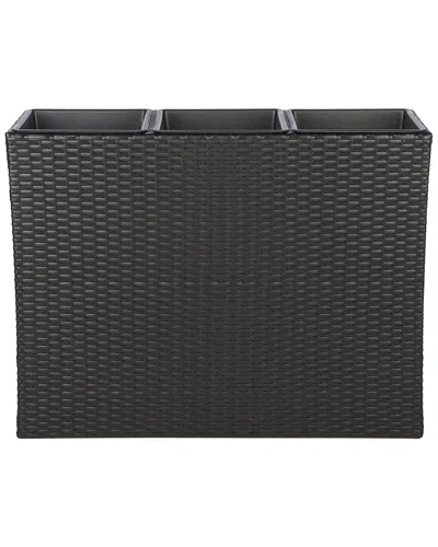 Safavieh Rita Flower Rack In Black