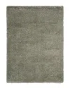 Safavieh Royal Shag Rug