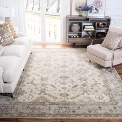Safavieh Royalty Hand Made Area Rug, Cream / Light Grey Traditional Style Non-shedding In Neutral