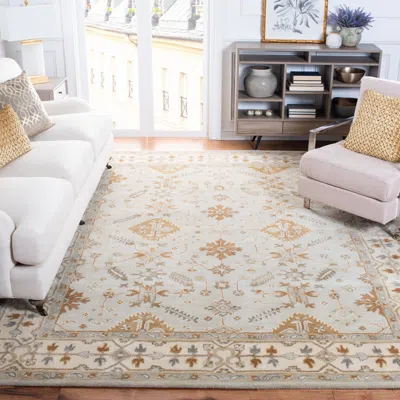 Safavieh Royalty Hand Made Area Rug, Light Grey / Cream Traditional Style Non-shedding In Brown