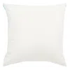 Safavieh Rulia Pillow