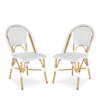 Safavieh Salcha Indoor-outdoor French Bistro Side Chair, Set Of Two In Gray/white/light Brown