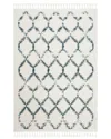 Safavieh Shag Rug