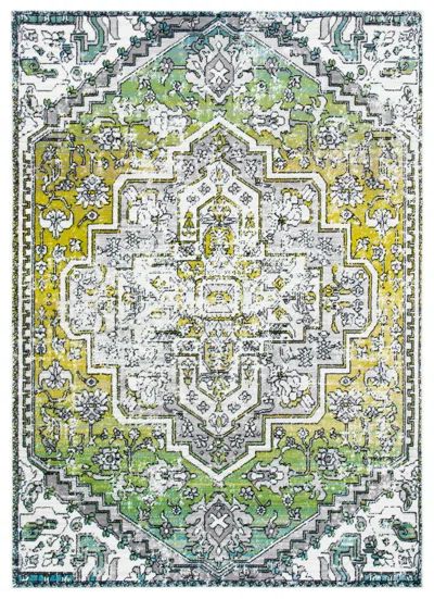 Safavieh Skyler Collection Rug In Multi