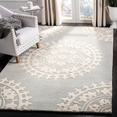 Safavieh Soho Hand Made Area Rug, Light Grey / Ivory Bohemian Style Non-shedding In Gray
